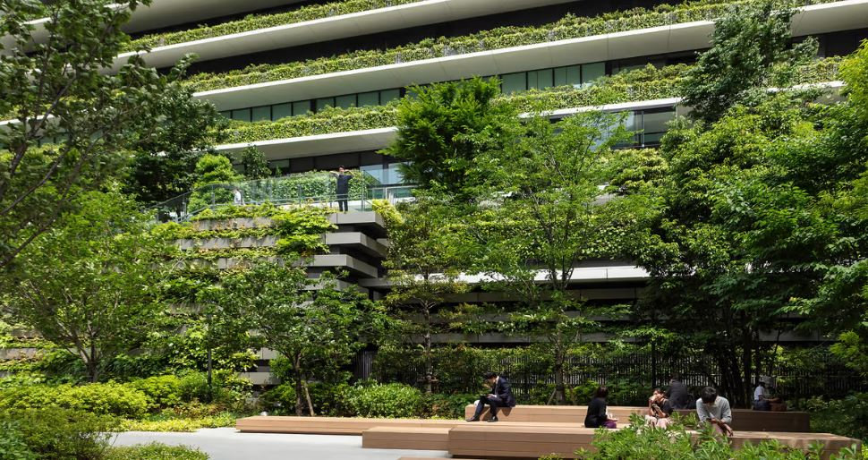 Kebun Vertikal Mandiri 2026 Gagal di Apartemen? Studi: Mayoritas Mati di Bulan Ke-3, Ini 5 Kesalahan Fatal Pemula